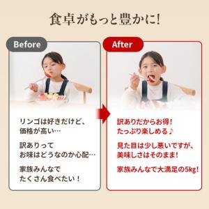 ふるさと納税 りんご 訳あり 3kg 果物 フ...の詳細画像2