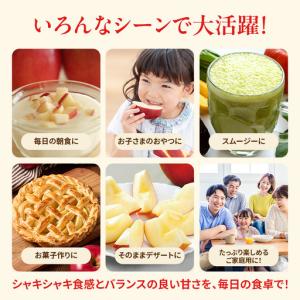 ふるさと納税 りんご 訳あり 3kg 果物 フ...の詳細画像3