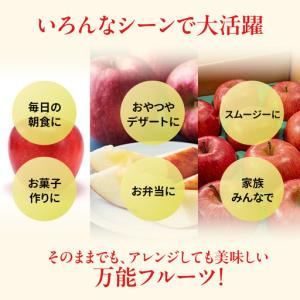 ふるさと納税 りんご 訳あり 3kg 果物 フ...の詳細画像4