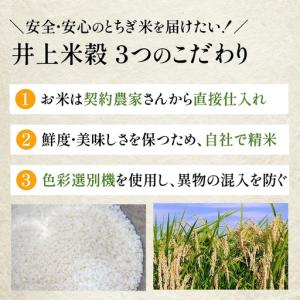 ふるさと納税 米 にじのきらめき 10kg(5...の詳細画像1