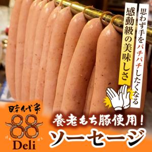 ふるさと納税 いちはら88ソーセージ【レモンペ...の詳細画像1