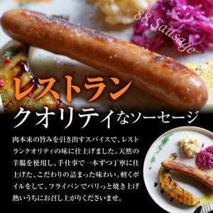ふるさと納税 いちはら88ソーセージ【レモンペ...の詳細画像2