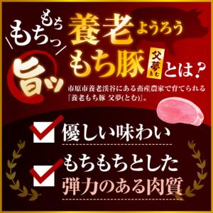 ふるさと納税 いちはら88ソーセージ【レモンペ...の詳細画像3