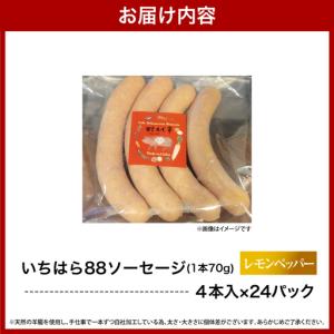 ふるさと納税 いちはら88ソーセージ【レモンペ...の詳細画像4