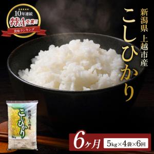 ふるさと納税 9月開始 コシヒカリ 無洗米 新潟県 上越産 20kg (5kg×4) 12か月 定期便 こしひかり 五つ星お米マイスターのいるお店 お米 精.. 新潟県上越市