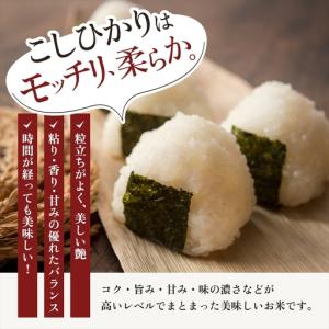 ふるさと納税 9月開始 コシヒカリ 無洗米 新...の詳細画像2