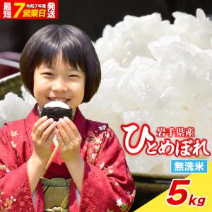 ふるさと納税 岩手県産 無洗米 ひとめぼれ 5kg 無洗 岩手県盛岡市