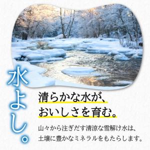 ふるさと納税 岩手県産 無洗米 ひとめぼれ 5...の詳細画像1