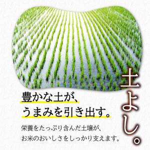 ふるさと納税 岩手県産 無洗米 ひとめぼれ 5...の詳細画像2