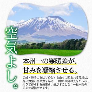 ふるさと納税 岩手県産 無洗米 ひとめぼれ 5...の詳細画像3