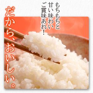ふるさと納税 岩手県産 無洗米 ひとめぼれ 5...の詳細画像4