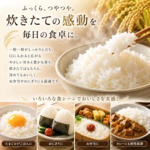 ふるさと納税 にじのきらめき 5kg 令和8年...の詳細画像3
