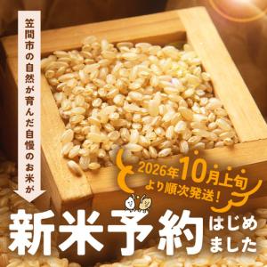ふるさと納税 玄米 米 20kg 令和8年産 ...の詳細画像1