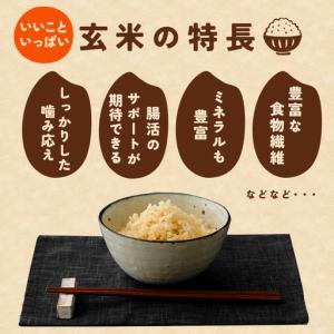 ふるさと納税 玄米 米 20kg 令和8年産 ...の詳細画像3