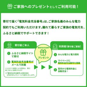 ふるさと納税 みんな電力 宮崎県産 再エネ電気...の詳細画像3