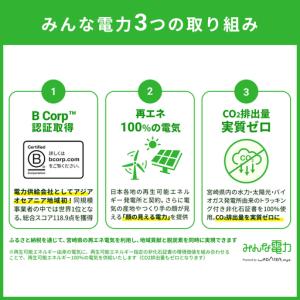 ふるさと納税 みんな電力 宮崎県産 再エネ電気...の詳細画像4