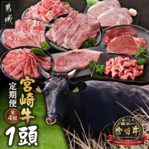 ふるさと納税 ≪4回お届け≫宮崎牛1頭定期便〔T5000-4-N4-011-head〕_(都城市) 宮崎県都城市