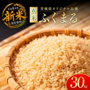 ふるさと納税 令和8年度新米 ふくまる 玄米 3...の商品画像
