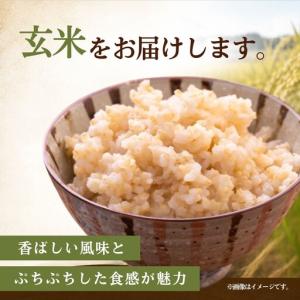 ふるさと納税 令和8年度新米 ふくまる 玄米 ...の詳細画像1