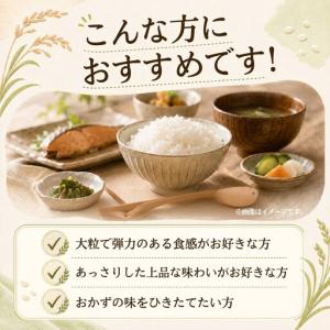 ふるさと納税 令和8年度新米 ふくまる 玄米 ...の詳細画像4