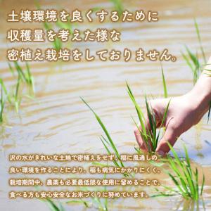 ふるさと納税 《定期便10ヶ月》【7分搗き】あ...の詳細画像2
