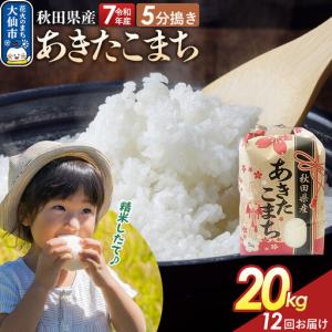 ふるさと納税 《定期便12ヶ月》【5分搗き】あきたこまち 20kg（5kg×4） 秋田県産 令和7年産 こまちライン 秋田県 大仙市産 秋田県大仙市