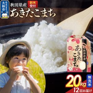 ふるさと納税 《令和8年産新米予約》 《定期便12ヶ月》【無洗米】あきたこまち 20kg（5kg×4） 秋田県産 こまちライン 秋田県 大仙市産 秋田県大仙市