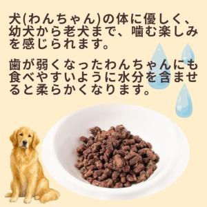 ふるさと納税 O25「定期便」鹿肉 100% ...の詳細画像2