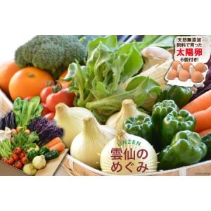 ふるさと納税 ”雲仙のめぐみ”旬の野菜セット（Ｓ）【太陽卵6個付き】 8〜10品目セット [長崎県農...