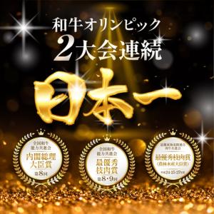 ふるさと納税 飛騨牛 A5 シャトーブリアン ...の詳細画像1