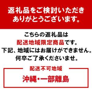 ふるさと納税 [梅干・梅酒用]大玉4Lサイズ約...の詳細画像1