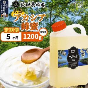 ふるさと納税 《定期便5ヶ月》はちみつ 天然十和田 アカシア蜂蜜 1200g ポリ缶 秋田県小坂町