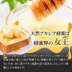 ふるさと納税 《定期便7ヶ月》はちみつ 天然十...の詳細画像3