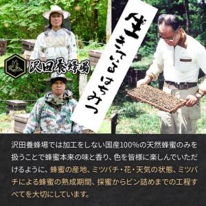 ふるさと納税 《定期便7ヶ月》はちみつ 天然十...の詳細画像4