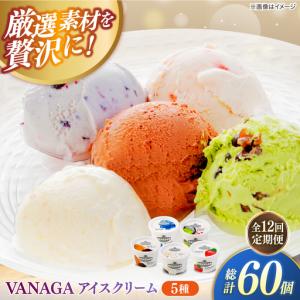 ふるさと納税 【全12回定期便】ご褒美アイスにぴったり！VANAGA 5種類のアイスクリーム5個入り 島根県雲南市/木次乳業有限会社[AIBH049] 島根県雲南市