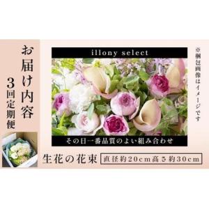 ふるさと納税 季節の花束 3回定期便 《ill...の詳細画像4