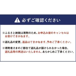 ふるさと納税 < R8年熊本地震復興支援 >【...の詳細画像4