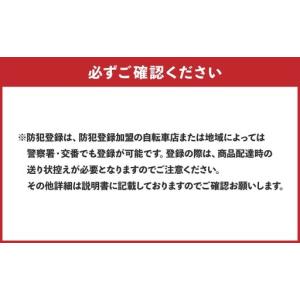 ふるさと納税 < R8年熊本地震復興支援 >【...の詳細画像2