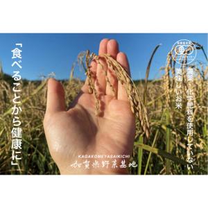 ふるさと納税 《令和8年産 新米 先行予約》「...の詳細画像1