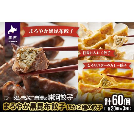 ふるさと納税 まろやか黒昆布餃子ほか2種の餃子(行者にんにく・カレー)20個入×各1袋[04-085...