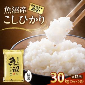 ふるさと納税 【令和8年産 先行予約】「12カ月定期便」食味鑑定士厳選！魚沼産こしひかり 30kg（5kg×6）×12回 米 コシヒカリ 定期 .. 新潟県十日町市