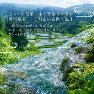 ふるさと納税 【令和8年産 先行予約】「12カ...の詳細画像2