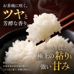 ふるさと納税 【令和8年産 先行予約】「12カ...の詳細画像3