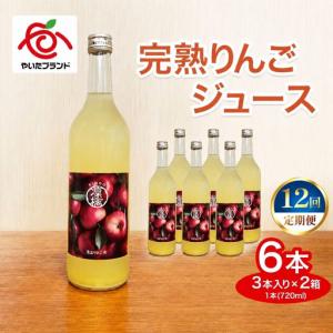 ふるさと納税 【定期便12回】完熟りんごジュース 6本 (3本×2箱)｜林檎 リンゴ 果汁100% 産地直送 (毎月お届け） 栃木県矢板市