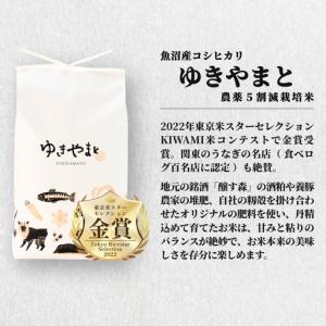 ふるさと納税 【6ヶ月定期便】令和8年産先行予...の詳細画像1