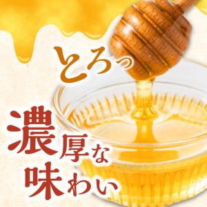 ふるさと納税 【全12回定期便】対馬天然和蜂蜂...の詳細画像1