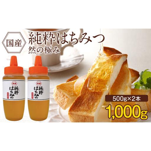 ふるさと納税 国産 純粋はちみつ 然の極み 1kg（500g×2本）セット（とんがり容器）【2026...