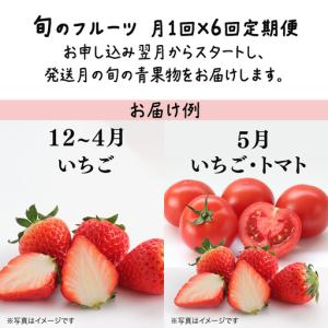 ふるさと納税 品種おまかせ 旬 の フルーツセ...の詳細画像1