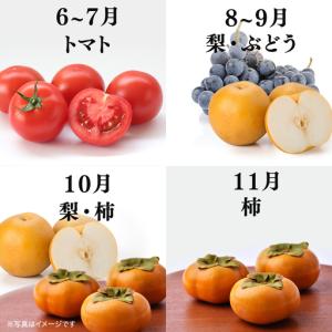ふるさと納税 品種おまかせ 旬 の フルーツセ...の詳細画像2