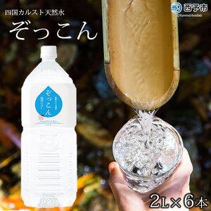 ふるさと納税 四国カルスト天然水ぞっこん　2L×6本 愛媛県西予市